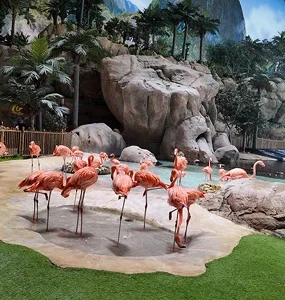 exotic bird show
