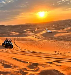 Desert Safari