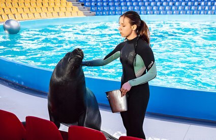 dolphinarium-show