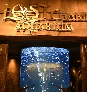 Lost Chamber