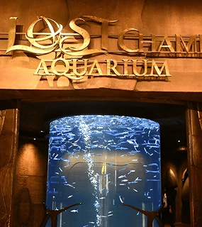 Lost Chamber