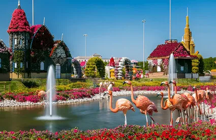 miracle-garden