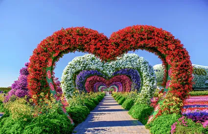 miracle-garden3